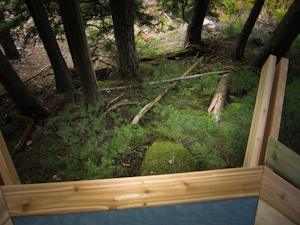 View from treehouse deck.