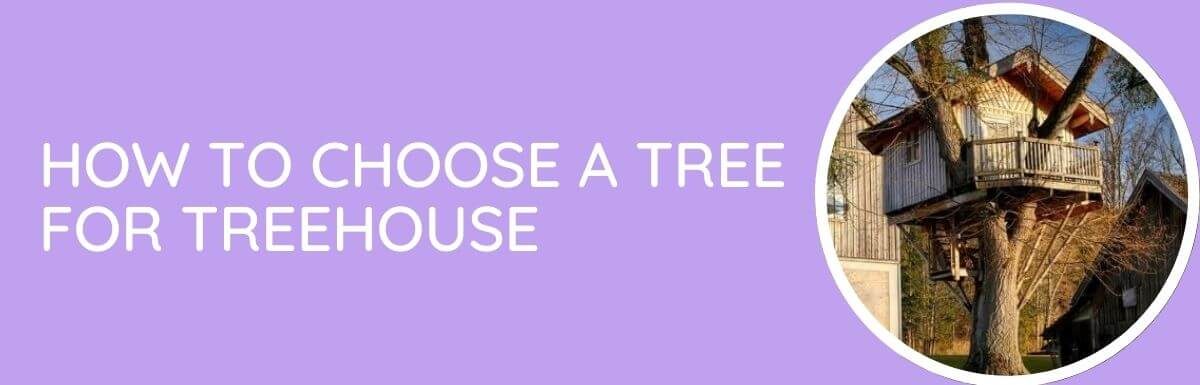 How To Choose A Tree For Treehouse