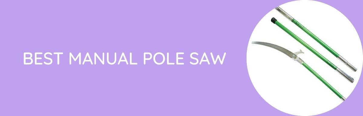 Best Manual Pole Saw