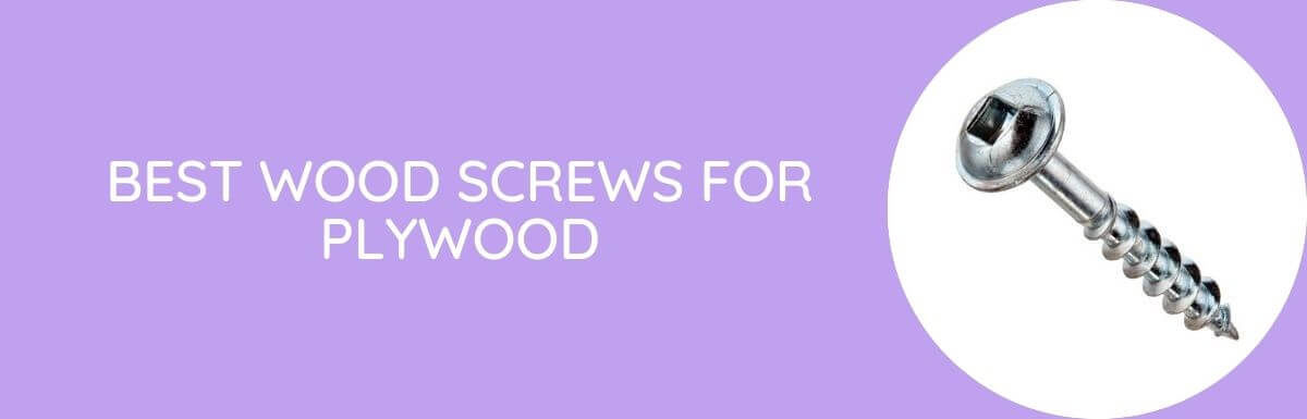 Best Wood Screws for Plywood In [year]- Buying Guide & Review