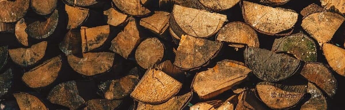 Firewood For Sale Near Me: An Ultimate Firewood Guide