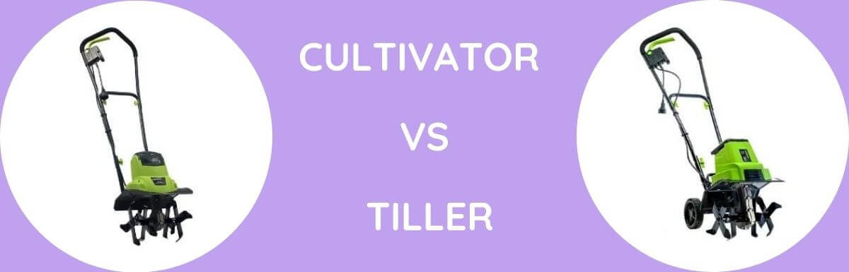 Cultivator Vs Tiller :Which One You Should Buy?