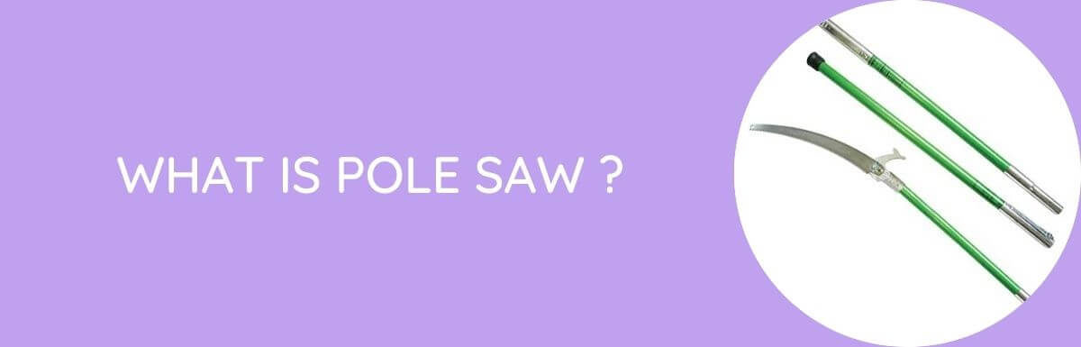 What Is A Pole Saw?