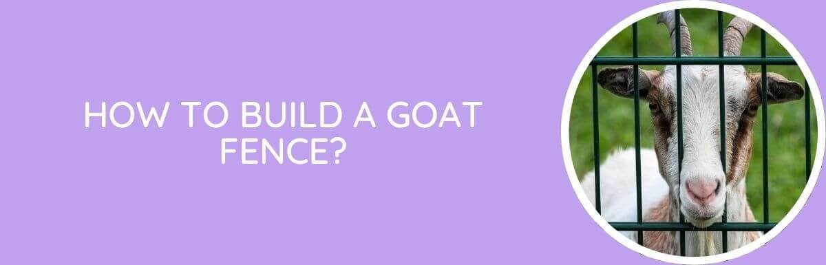 How To Build A Goat Fence?